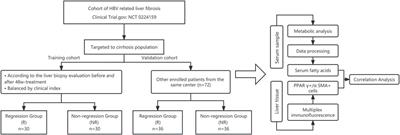Serum metabolomics characteristics and fatty-acid-related mechanism of cirrhosis with histological response in chronic hepatitis B
